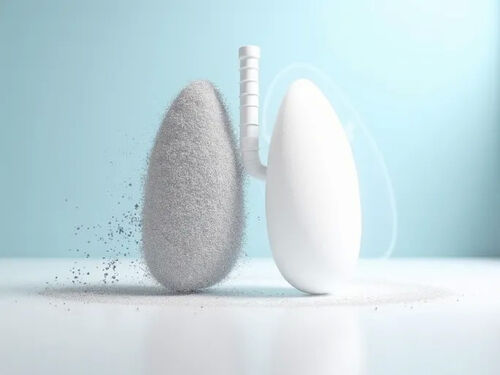 latest company blog about Guide to Maintaining Nonwashable HEPA Filters for Cleaner Air